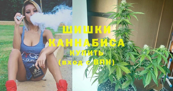 гашик Надым
