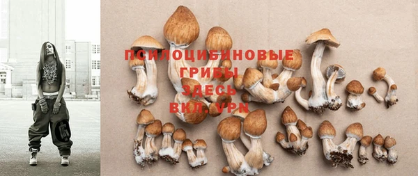 гашик Надым