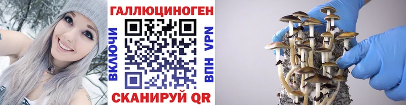 где купить   Красавино  Галлюциногенные грибы мухоморы 